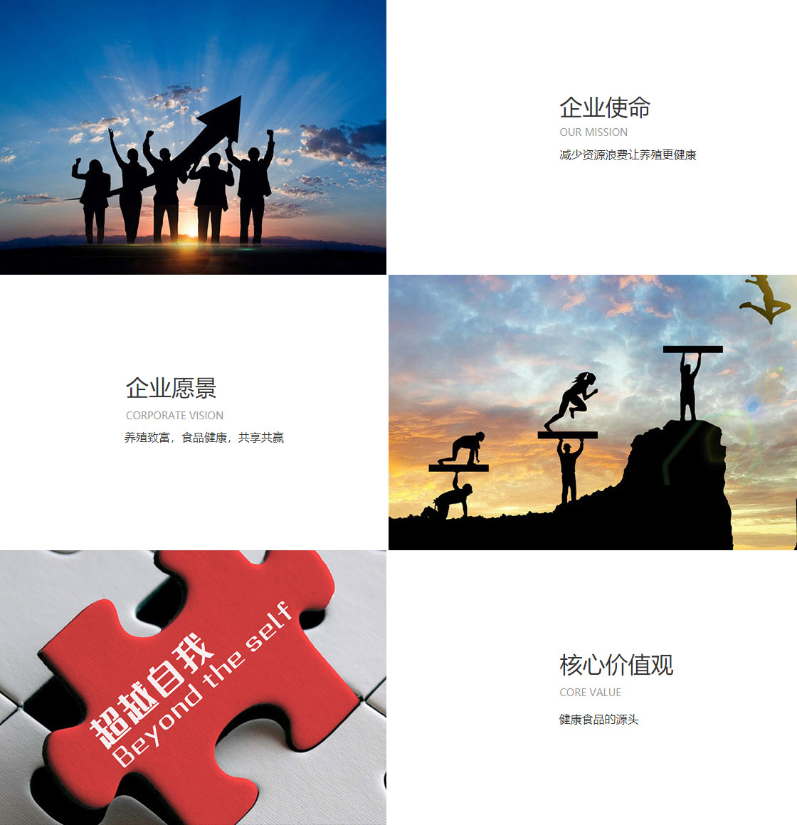 雷火体育(图1)
